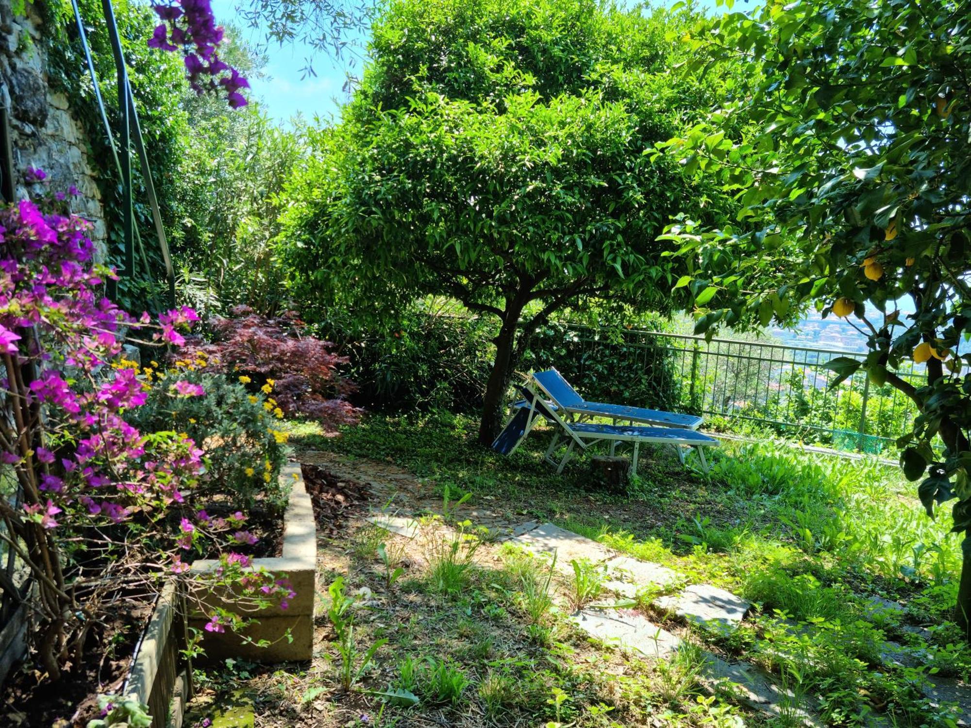 B&B La Terrazza Sui Fieschi Cogorno Εξωτερικό φωτογραφία